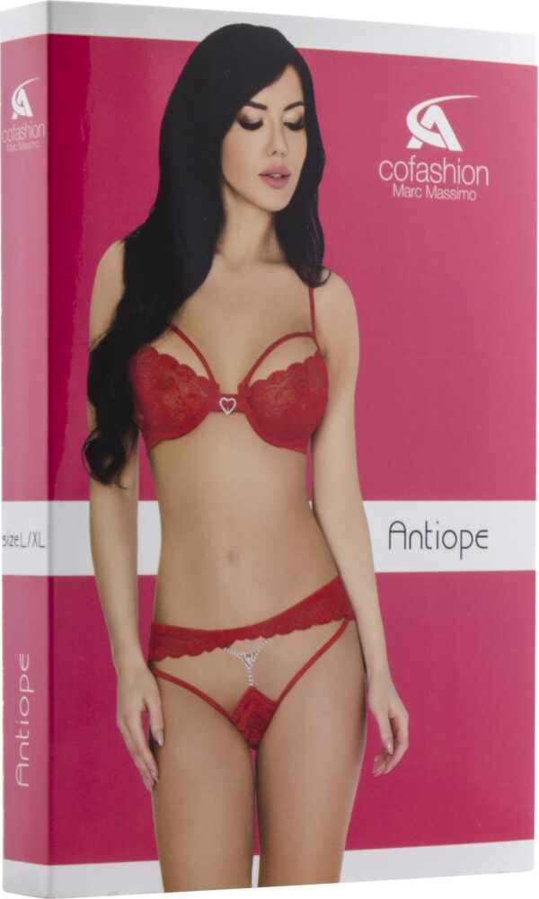 Antiope - L/XL - Afbeelding 3
