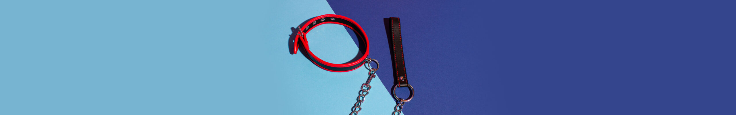 Leash