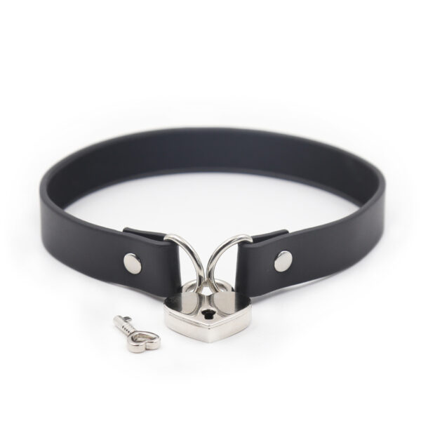 Locking Collar Black